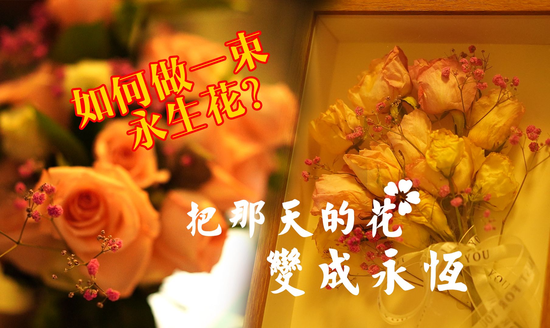 【干花制作指南】把那天的花,变成永恒哔哩哔哩bilibili