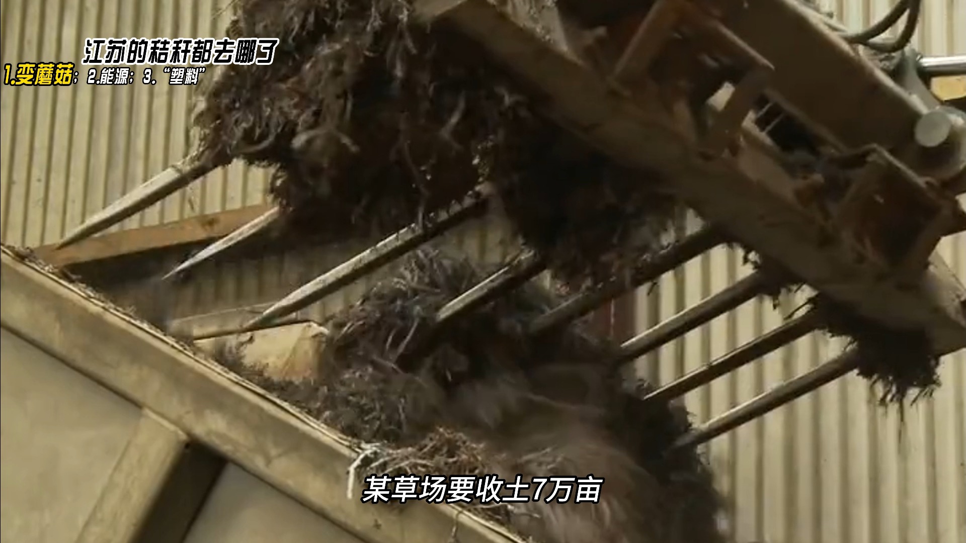 江苏的秸秆都去哪了?一变蘑菇!(一)