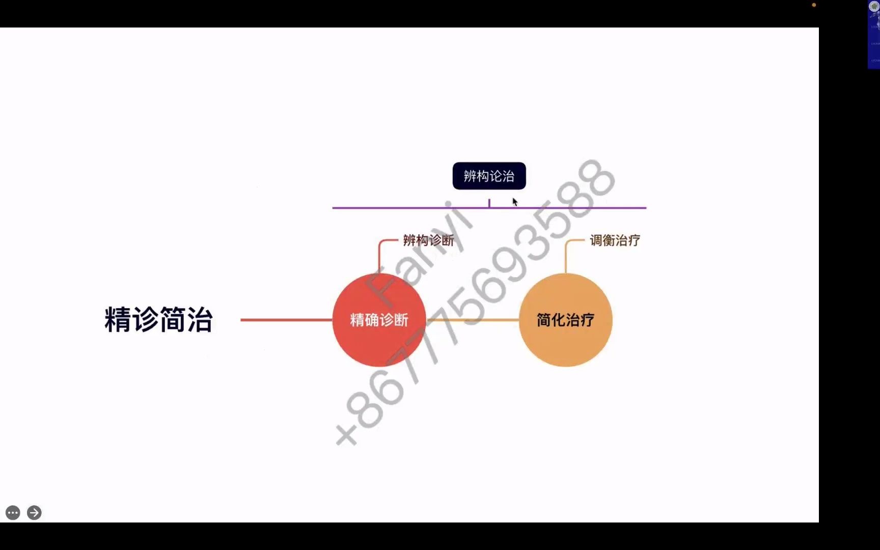 欧洲中医校友联合会学术大会针灸会场1哔哩哔哩bilibili