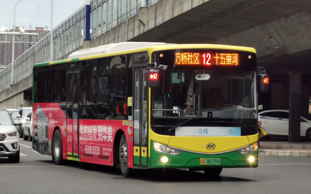 【合肥公交】(4k) pov15-穿过人山车海-合肥公交12路pov