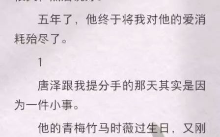 唐泽仗着我喜欢他经常跟我提分手.每一次我都会竭尽全力地挽留他.最后一次他提出分手后我看了他很久,然后说好.五年了,他终于将我对他的爱消耗殆...