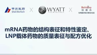 mRNA药物的结构表征和特性鉴定----LNP载体药物的质量表征与配方优化