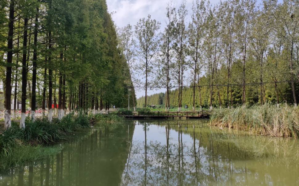 合肥大圩生态农业游,美景掠影!