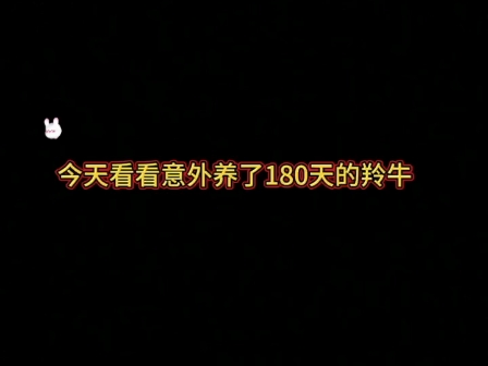 我家专属的野生动物,经常来我家玩,#保护野生动物,𐟘‚哔哩哔哩bilibili