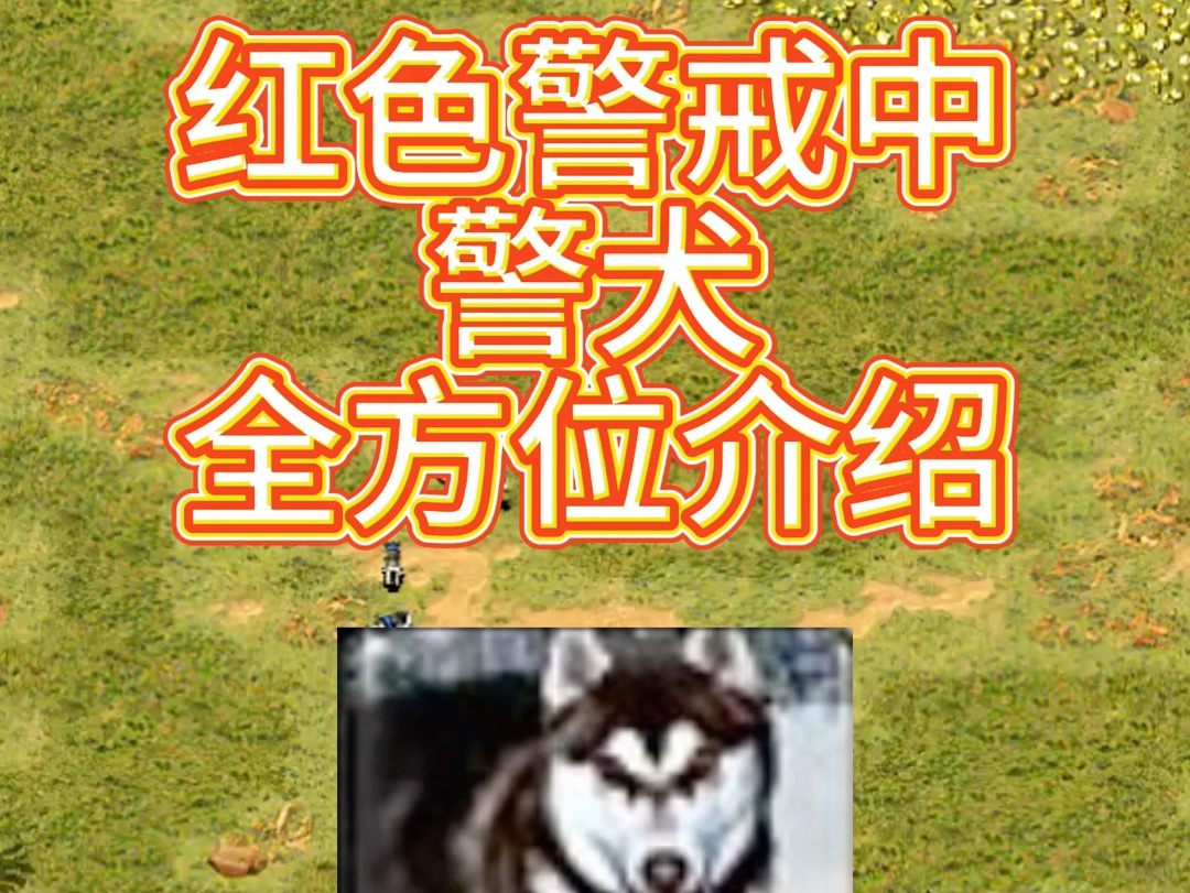 红色警戒中警犬全方位介绍哔哩哔哩bilibili红色警戒2