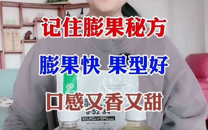 【三农】只要记住这个膨果配方,膨果快果型好,口感又香又甜!哔哩哔哩bilibili