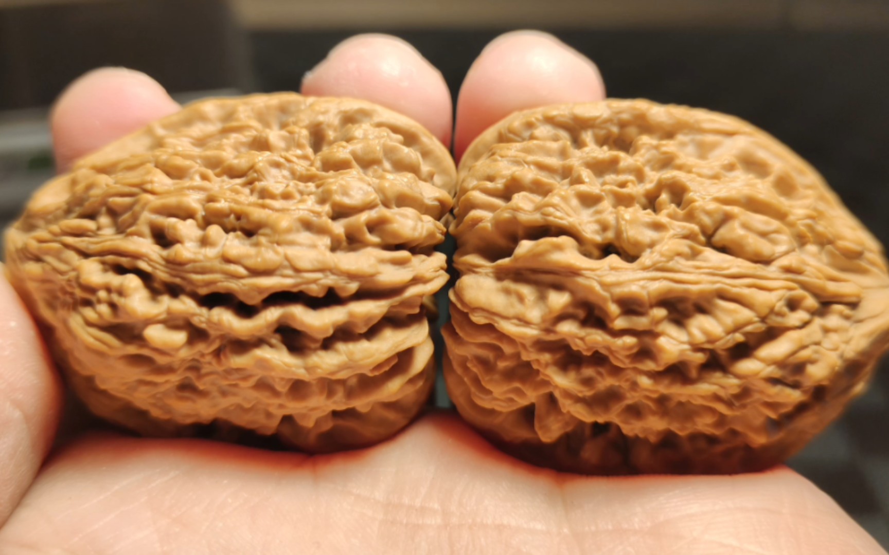 0起 拍对逐鹿高炮凹底老树南疆石