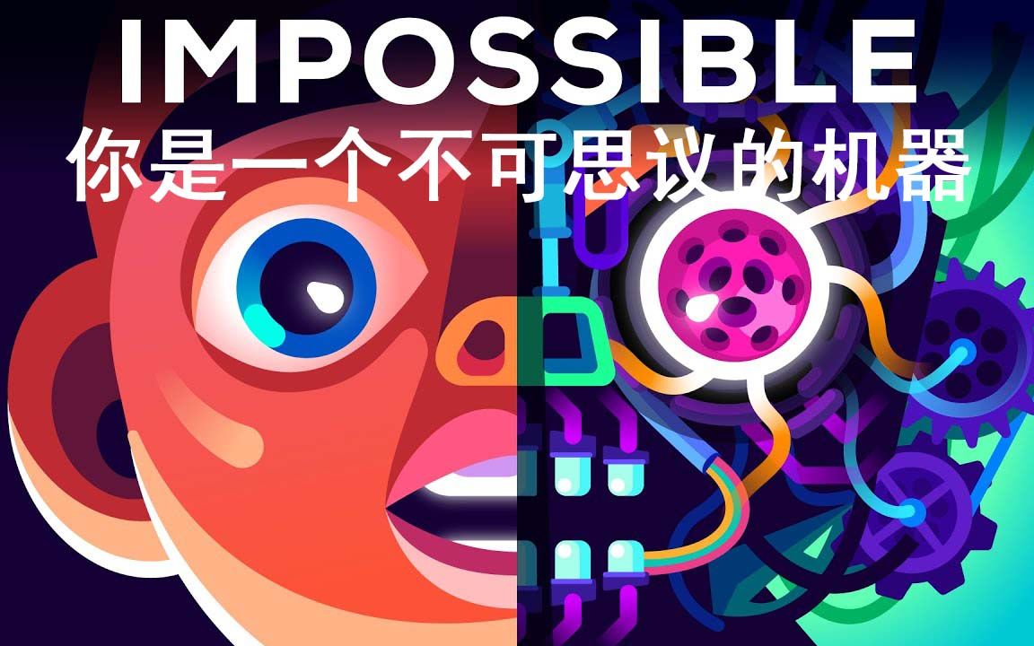 Kurzgesagt kurzgesagt kurzgesagt 