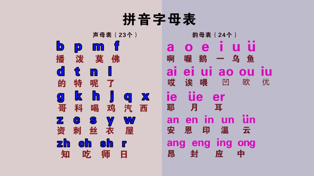 汉语拼音字母表零基础快速入门,声母表、韵母表、整体认读音节哔哩哔哩bilibili