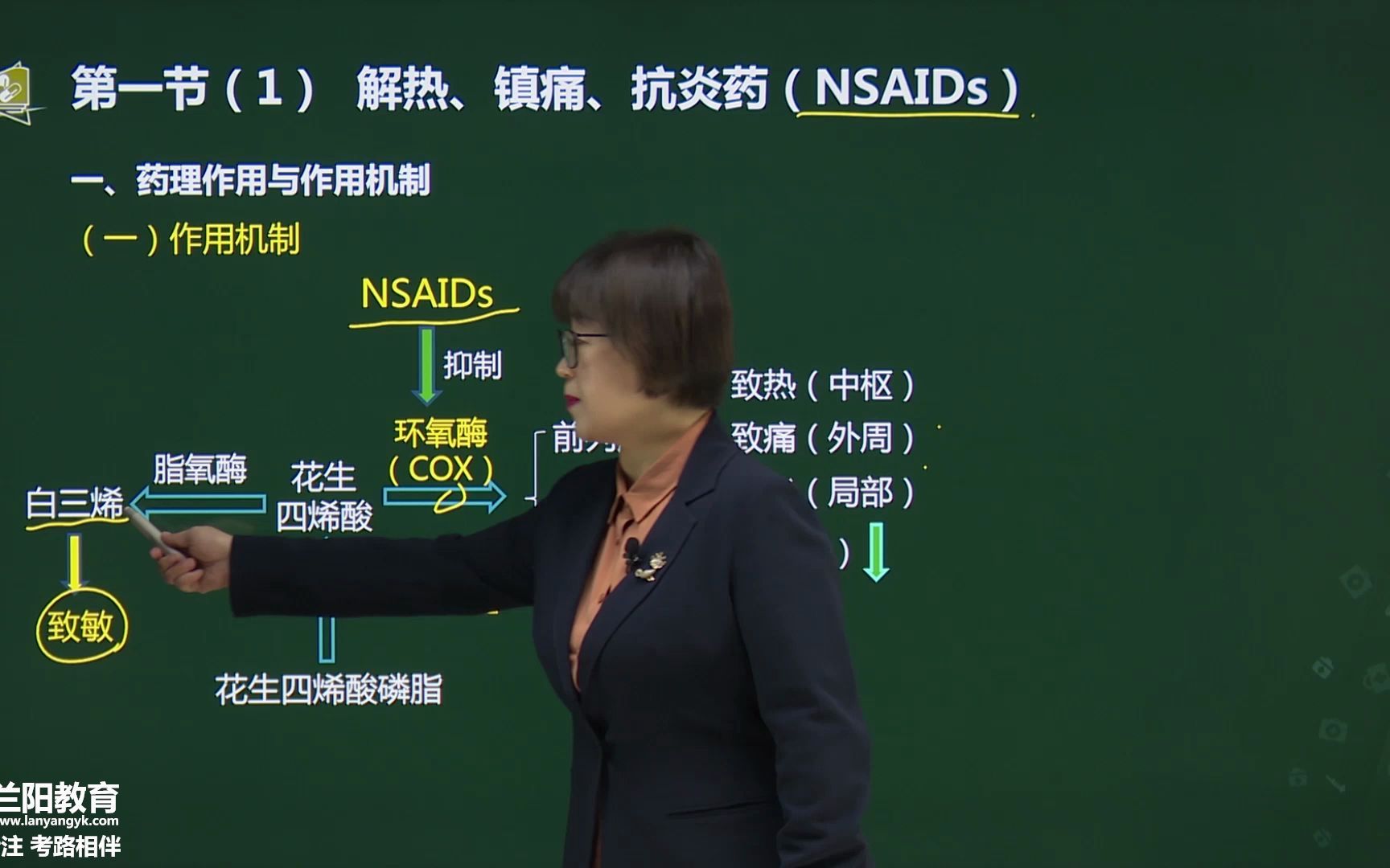 53第二章第一节(1)解热、镇痛、抗炎药(NSAIDs)第一节(2)抗风湿药哔哩哔哩bilibili