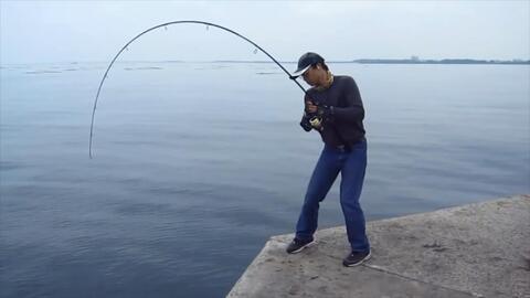 防波堤海钓中鱼 看这鱼竿的弧度 瘾肯定是过的足足的了 哔哩哔哩