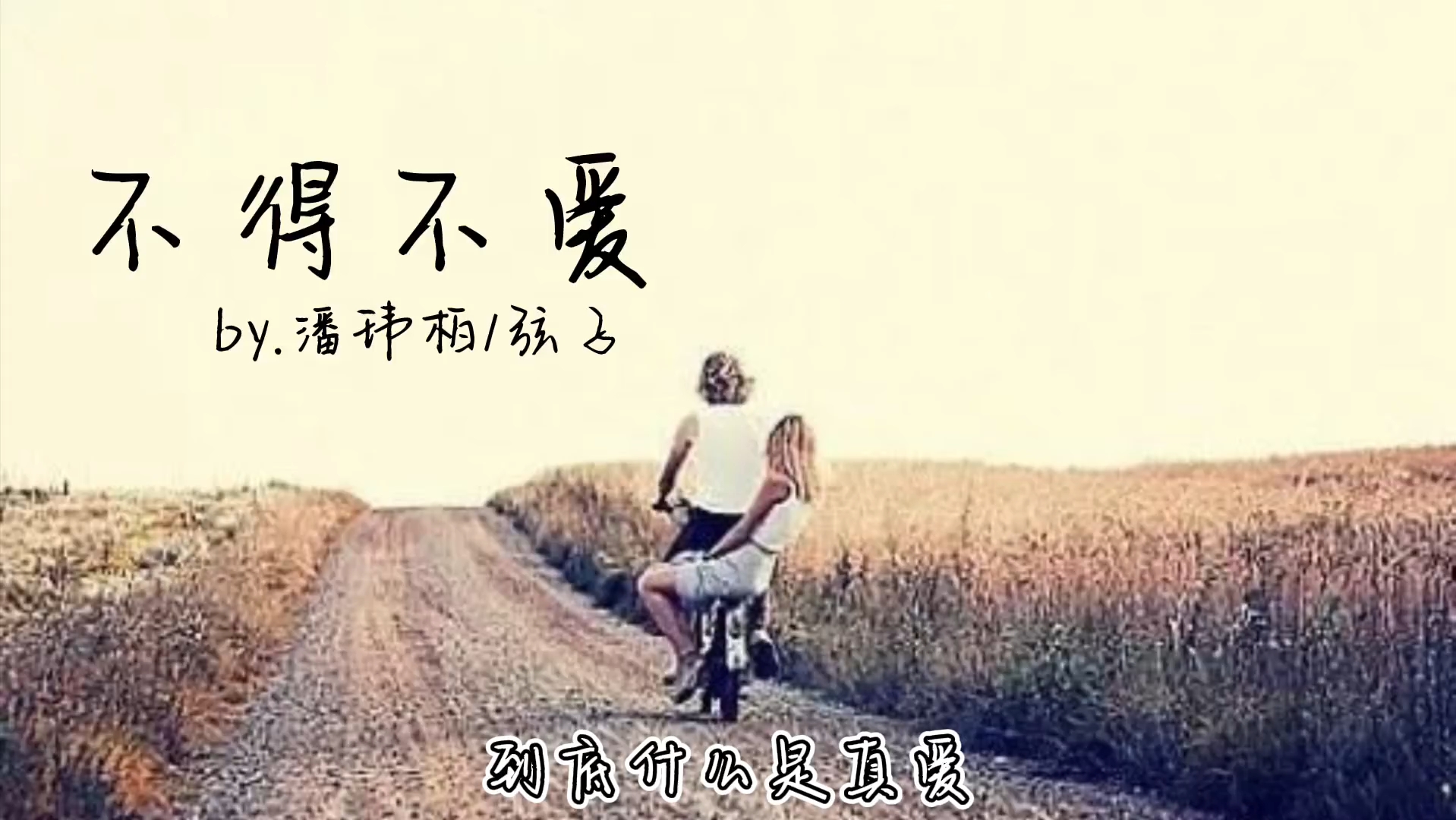 「HIRes无损」潘玮柏/弦子《不得不爱》「天天都需要你爱 我的心思由你猜」哔哩哔哩bilibili