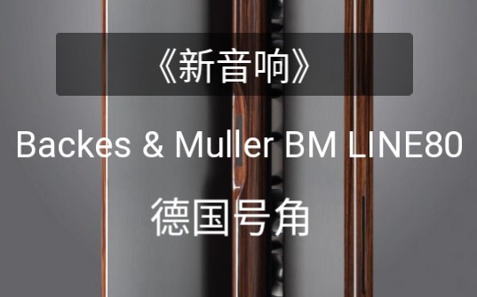 《新音响》演示|德国号角 Backes & Muller BM LINE80音箱哔哩哔哩bilibili