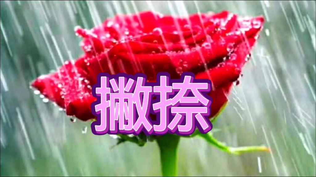 书法作品