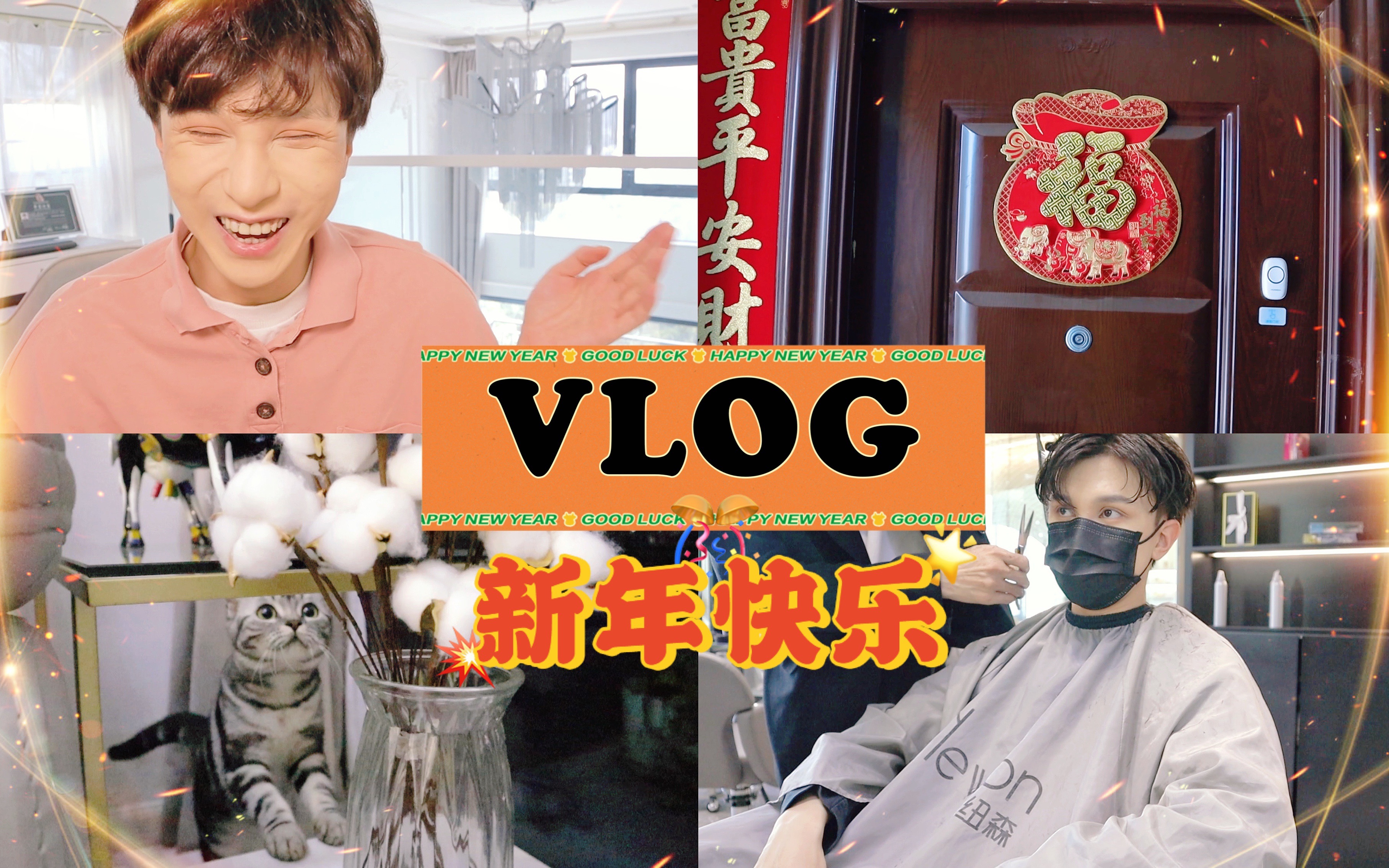 2021迎春VLOG|热热闹闹年货备好,一通电话赶回老家|陪你一起过春节|牛年大吉,新年快乐|「徐浩鑫X」哔哩哔哩bilibili