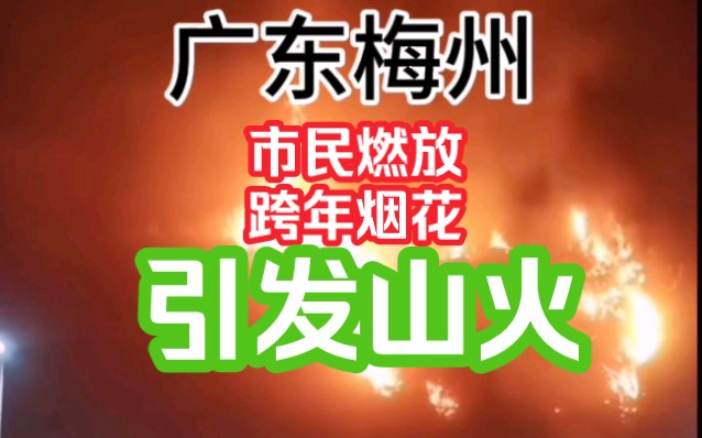 市民燃放跨年烟花引发山火.2024年1月1日凌晨,梅州丰顺汤坑镇培英桥附近放跨年烟花引发山火i.哔哩哔哩bilibili