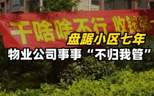 盘踞小区七年，物业公司事事“不归我管”