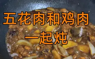 Download Video: 半斤五花肉加上两斤鸡肉一起炖 出锅之后太香了 鸡肉入口即化真香