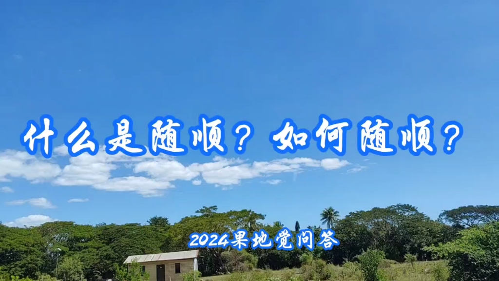 什么是随顺?如何随顺?#2024果地觉问答哔哩哔哩bilibili