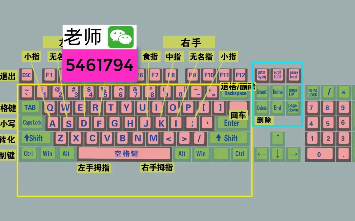 零基礎學電腦打字,快速學會鍵盤打字,適合初學者學習