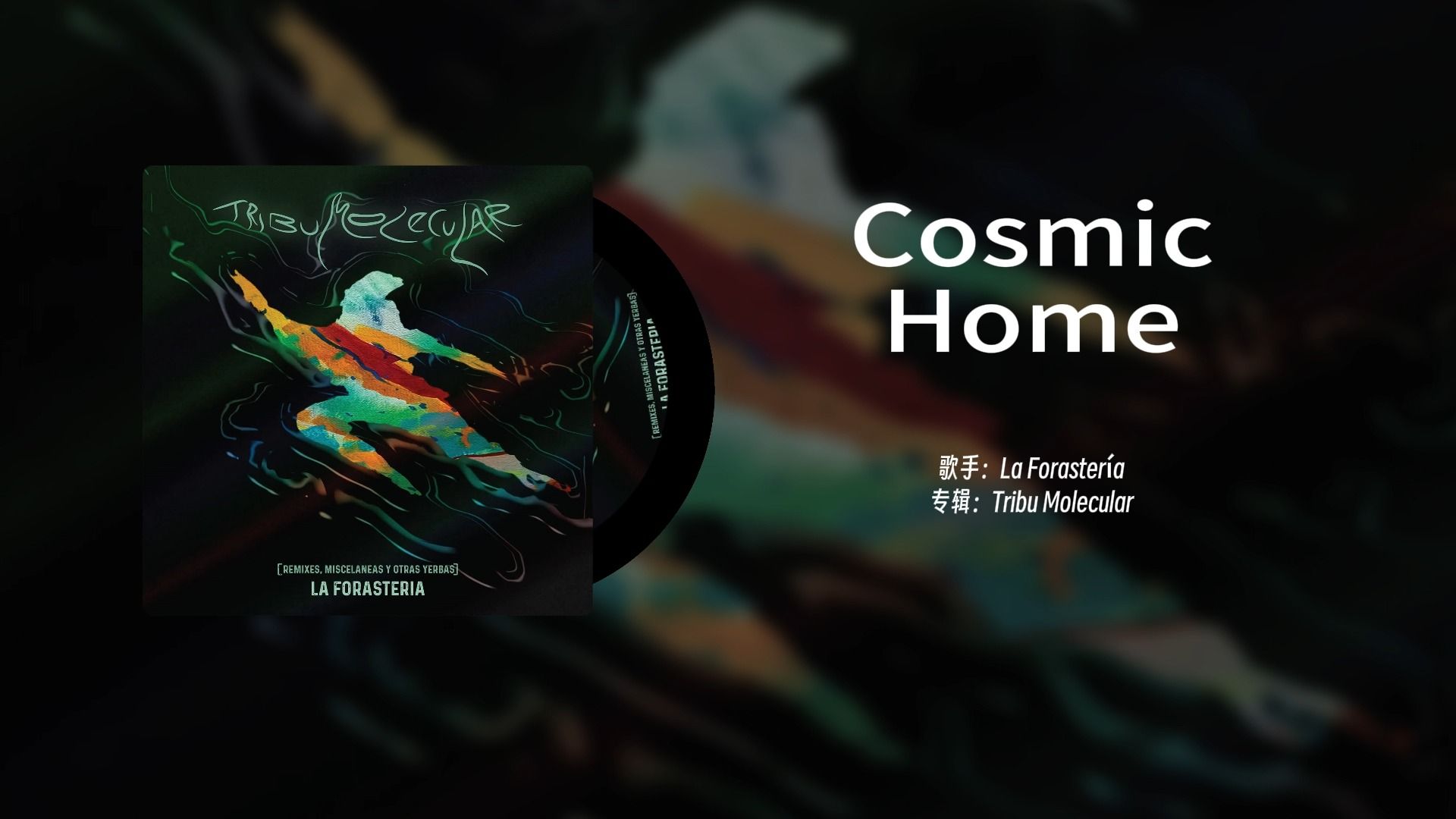 《cosmic home》——la forasteri07a|阿根廷乐队|「鼠鼠的音乐分享