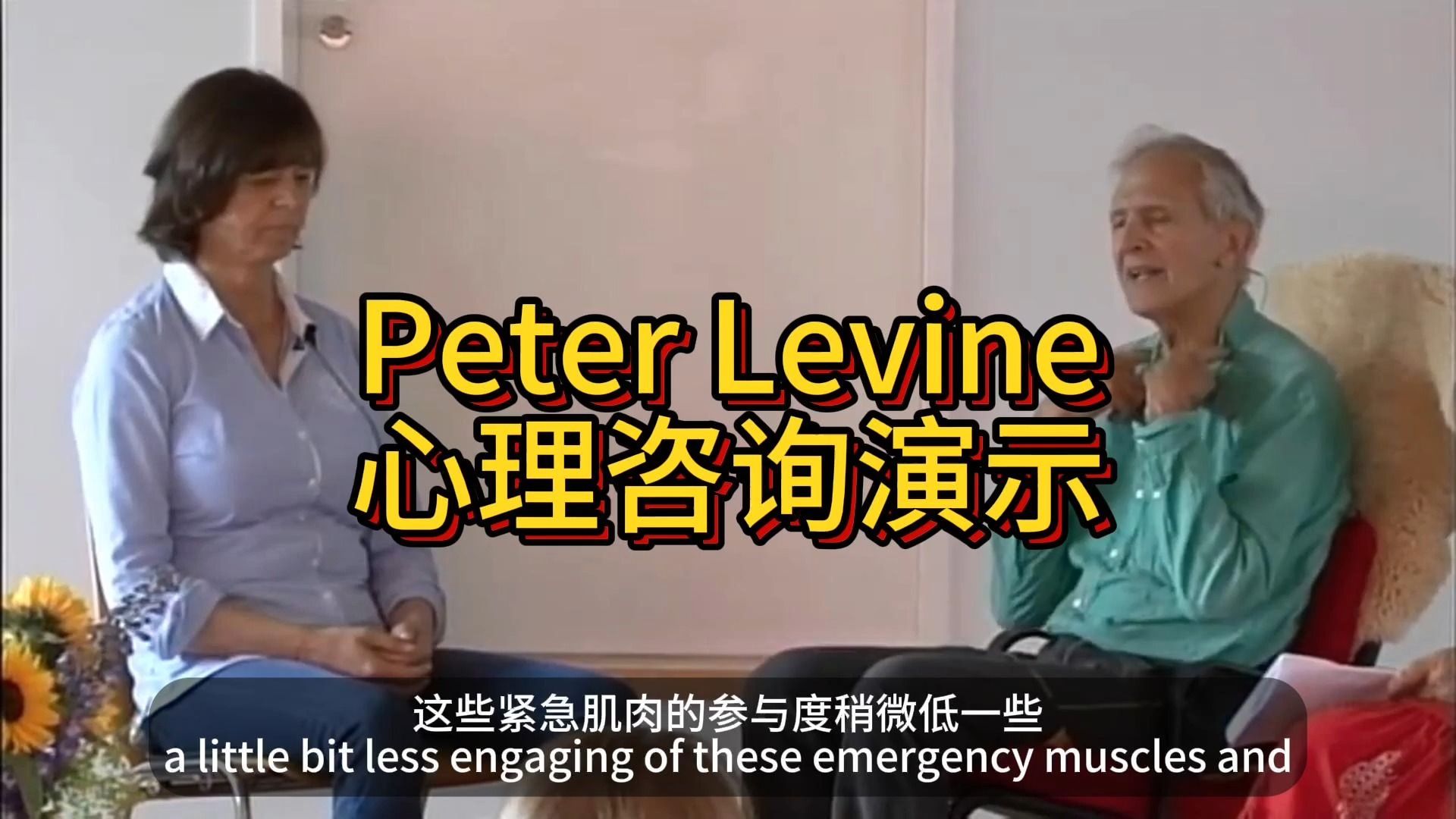 【油管搬运】Peter Levine心理咨询演示1 中英双语字幕哔哩哔哩bilibili