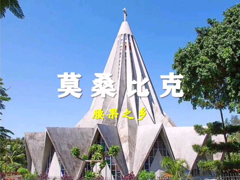 腰果之乡——莫桑比克