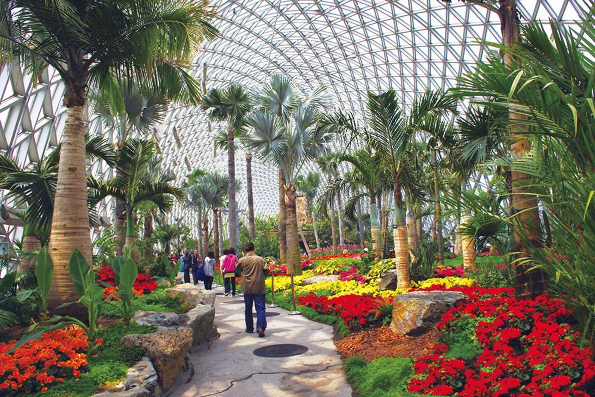 辰山植物园邀您一起云游赏花 食虫植物展让我看到了精明之处