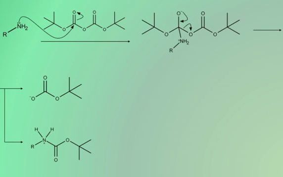 有机化学之Boc保护基Adding Boc Group Mechanism哔哩哔哩bilibili