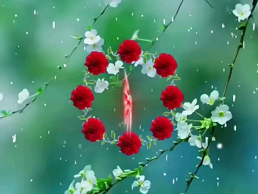 祝愿天下母亲节日快乐,身体健康!