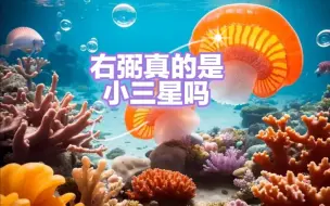 Download Video: 右弼星