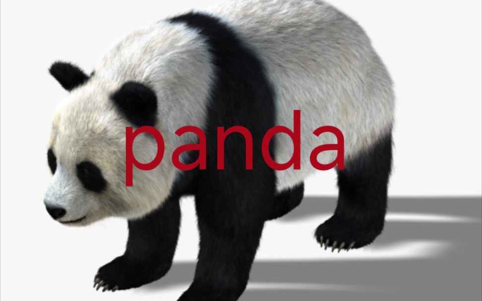 象形英语说文解字之panda.哔哩哔哩bilibili