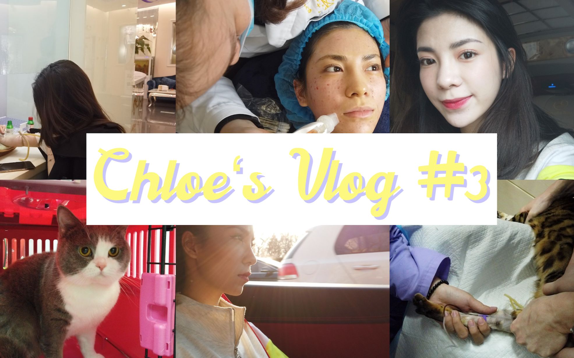 【CHLOE】Vlog#3 PRP自体血清医美初体验 我家猫咪生病了哔哩哔哩bilibili