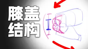 【人体结构团练】一些画膝盖结构的小心得
