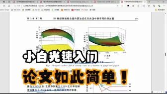 Download Video: 机器学习+优化算法 【极速水论文】