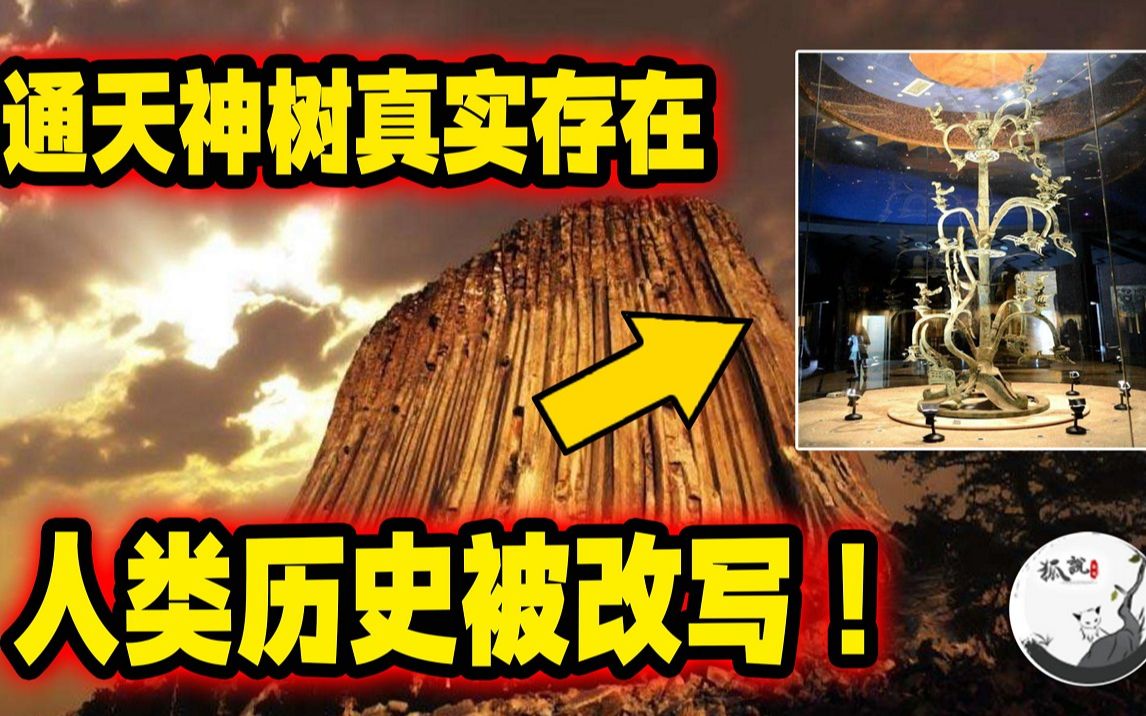 人类历史被改写,上古神树——建木真实存在!哔哩哔哩bilibili