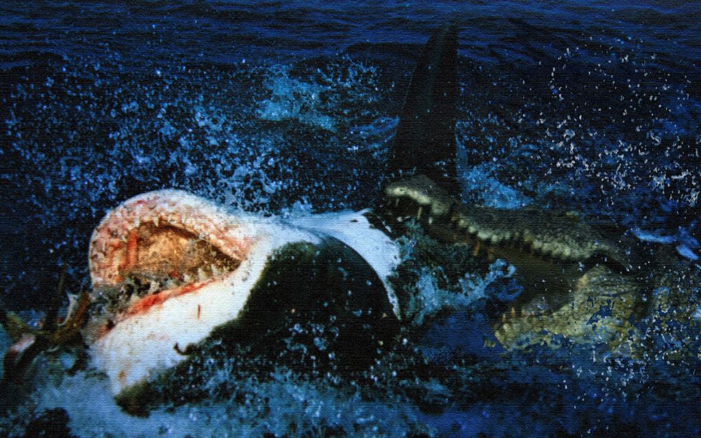 鲨鱼vs鳄鱼模拟与现实