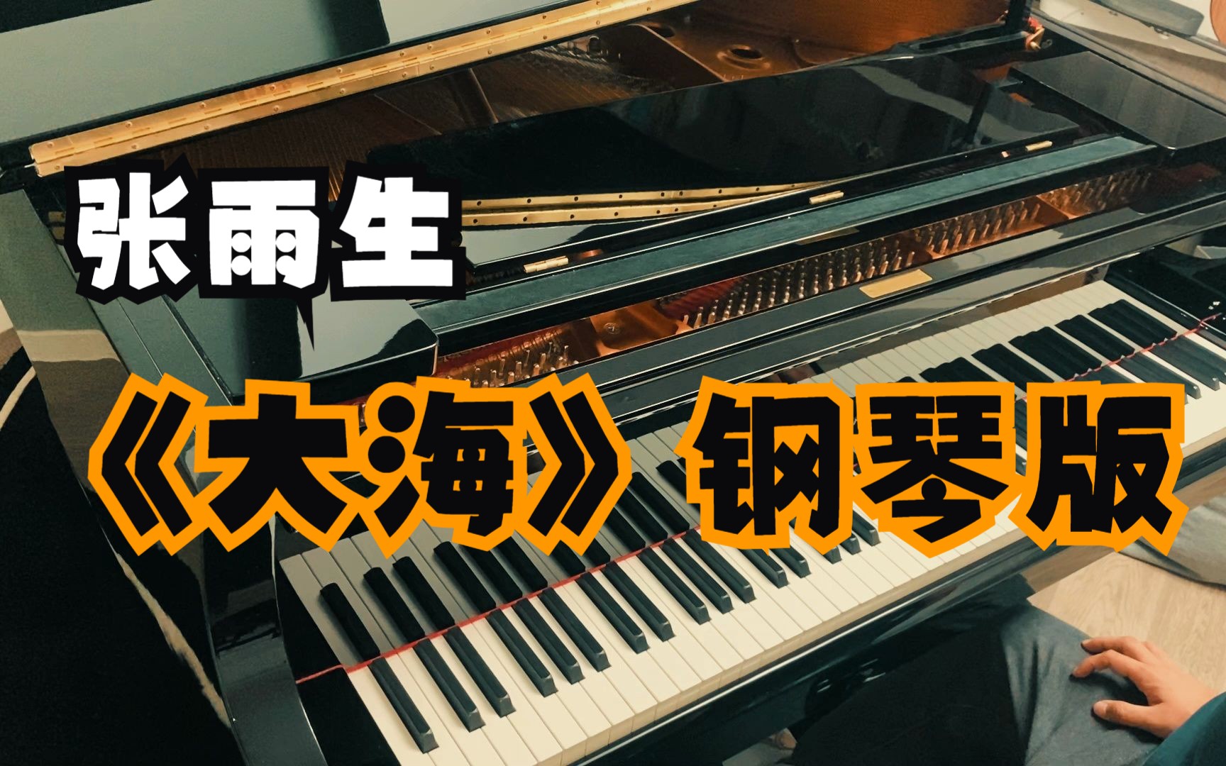 张雨生 《大海》钢琴版 音乐治愈