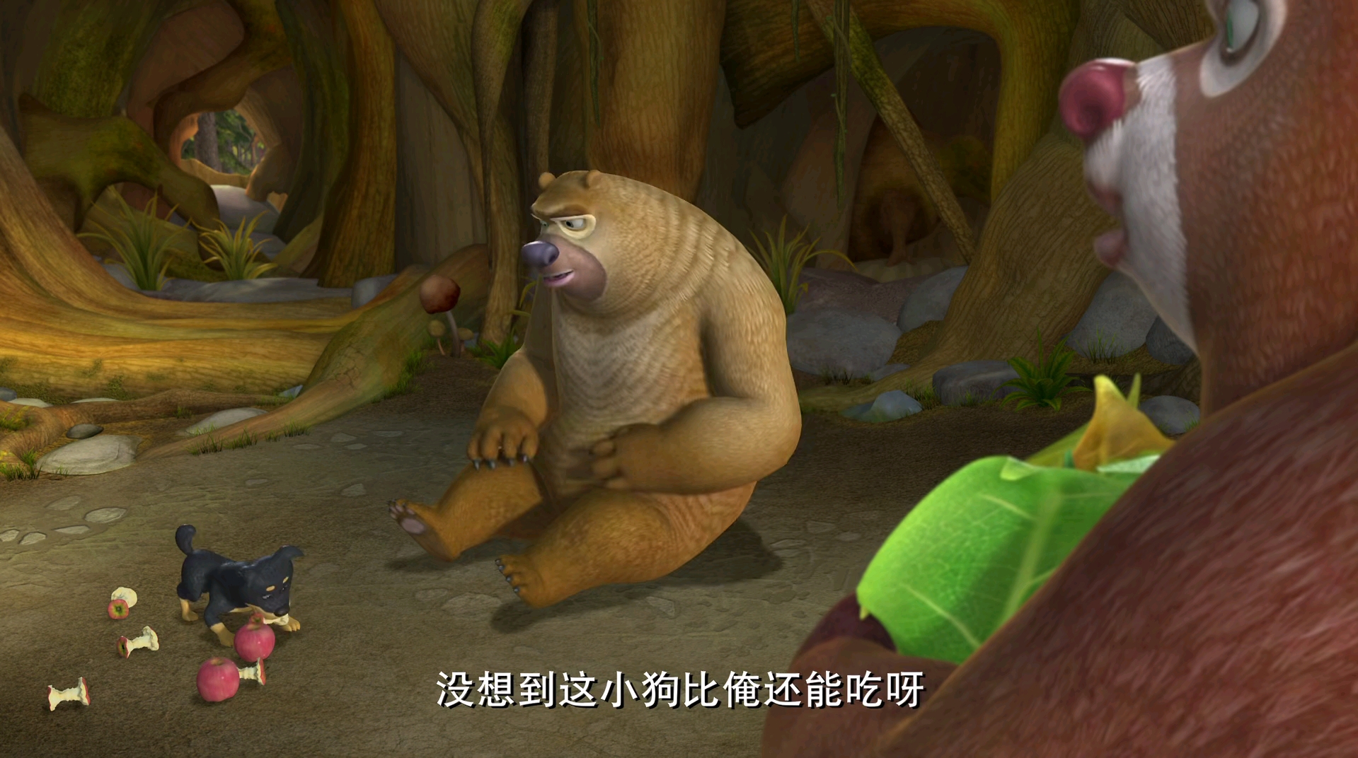 看大黑熊视频的网站_看大黑熊视频的网站有哪些