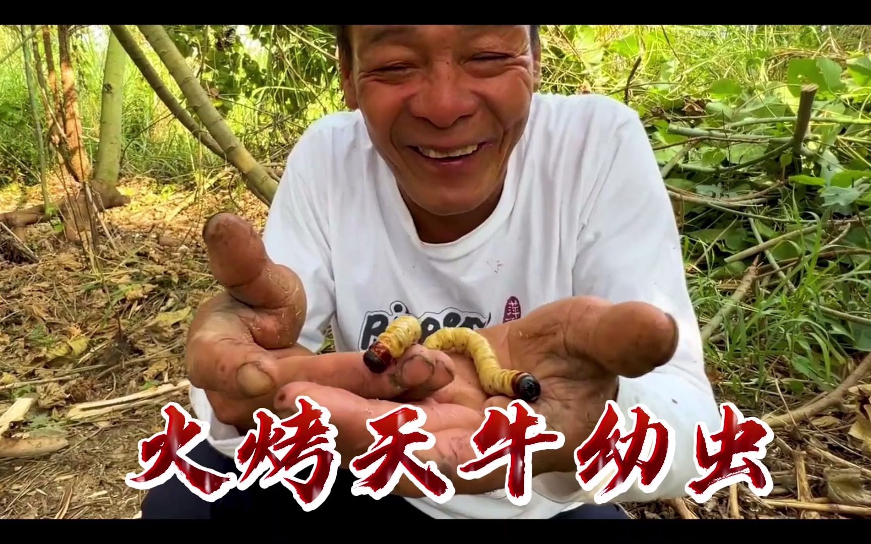 火烤天牛幼虫,高蛋白饮食,你吃过吗哔哩哔哩bilibili