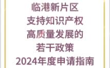 【临港新片区】:支持知识产权高质量发展的若干政策2024年度申请指南哔哩哔哩bilibili