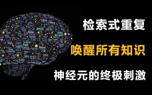 Download Video: 检索重复：超高效复习，间隔重复plus，记忆力暴增