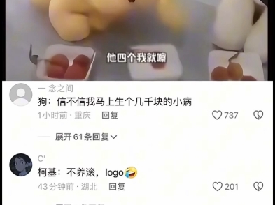 柯基:不养滚 logo哔哩哔哩bilibili