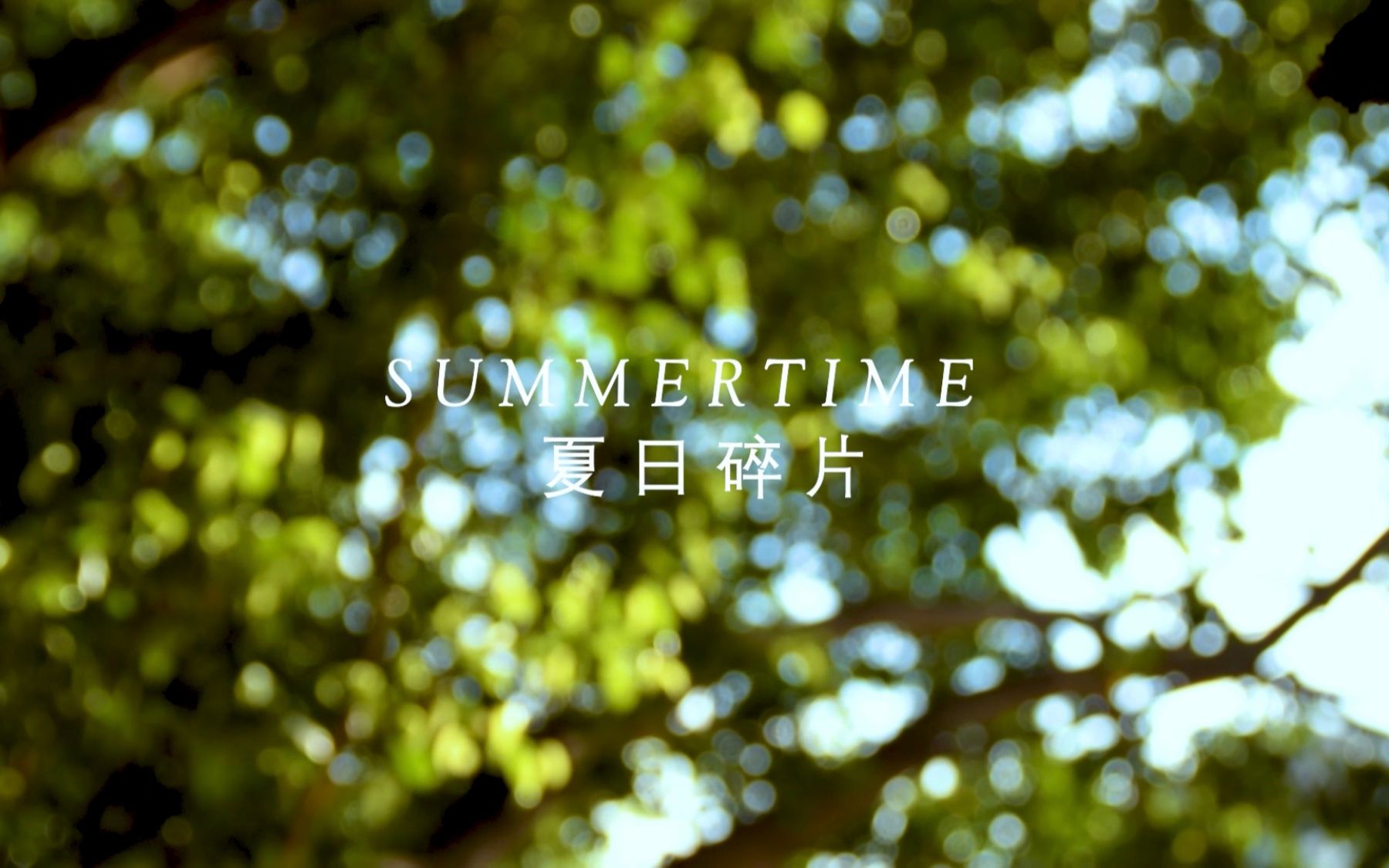 活动  夏 日 碎 片 / summertime