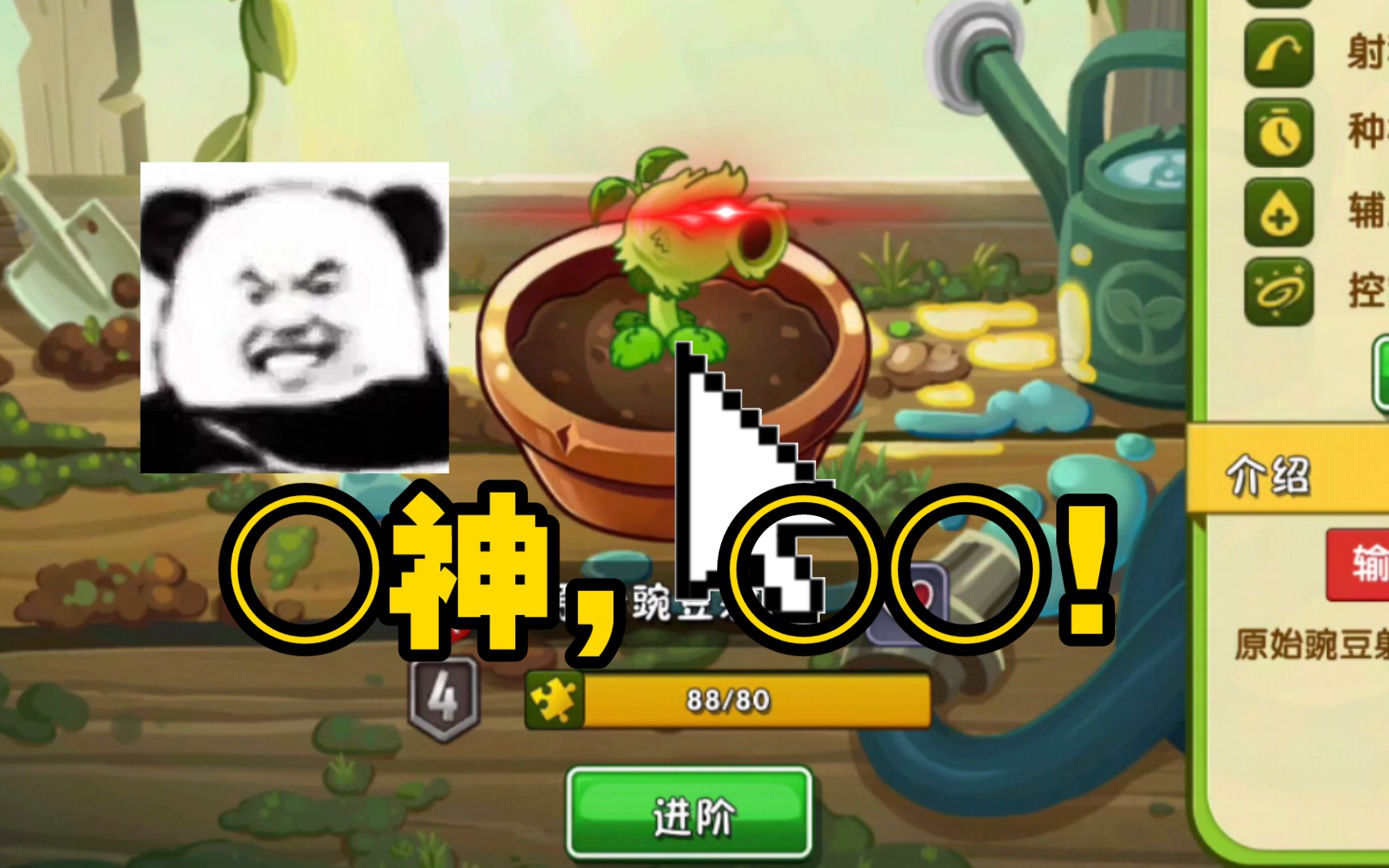 【pvz2】终于拥有了五阶原豌!○神,启动!