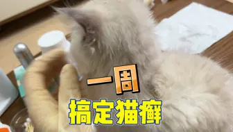 一周搞定猫癣，很简单，新手必看