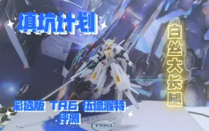 Descargar video: 【填坑计划】久等了 基地限定彩透版 HG TR6 伍德渥特评测