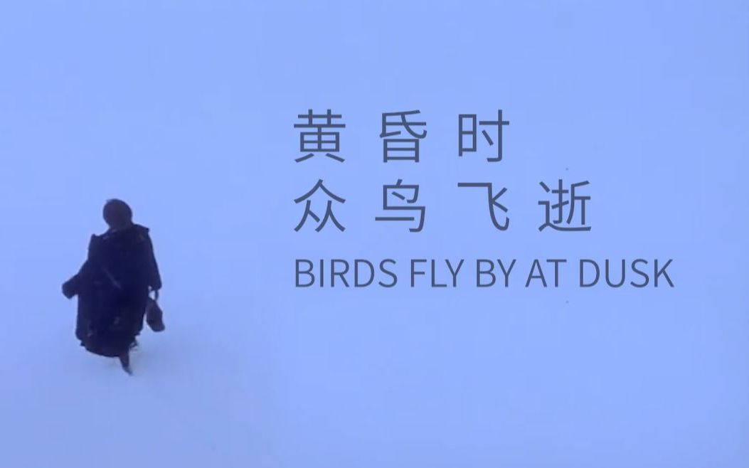 [图][ENG SUB] 【郑云龙 Zheng Yunlong】海剧会英译歌曲系列 《黄昏时众鸟飞逝》/《Birds fly by at dusk》