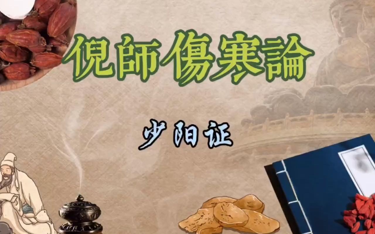 158倪师伤寒论--少阳证-倪海厦