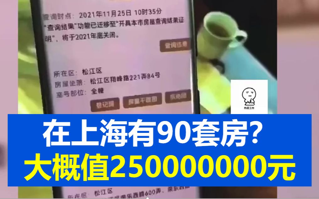 上海阿姨查询自己的不动产,90套房106个车位!哔哩哔哩bilibili